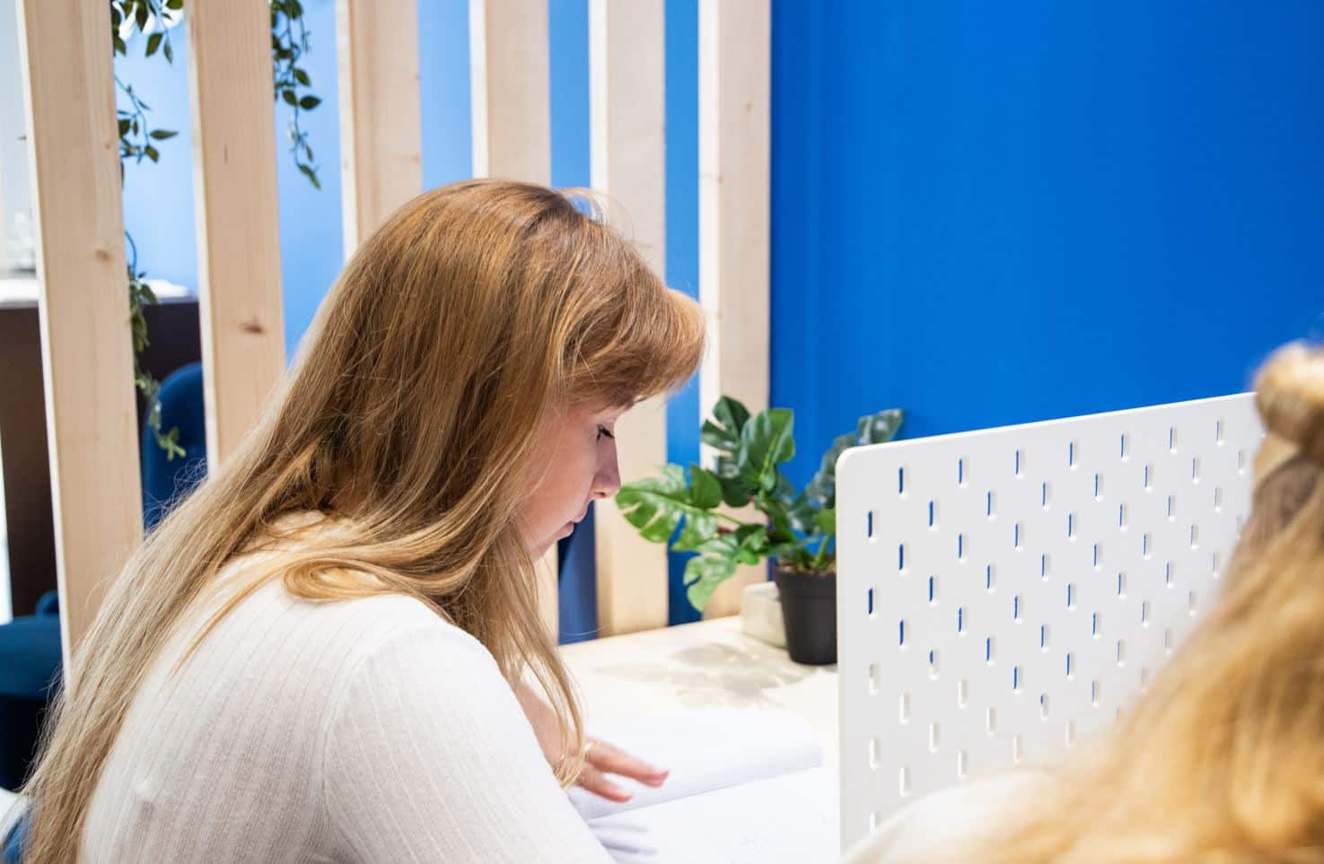 Persoonlijke bijles met docent en leerling